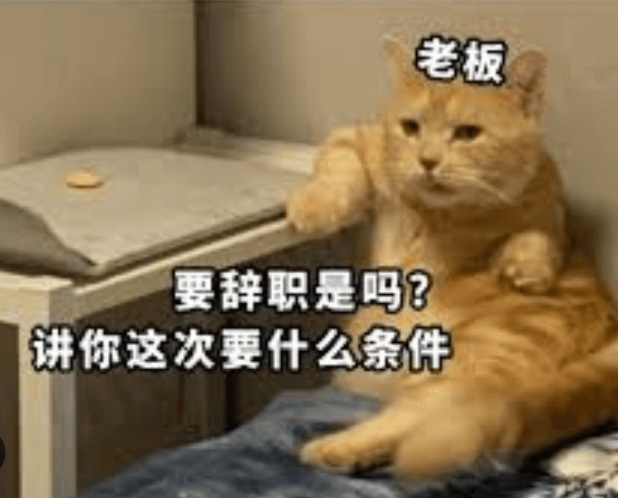 条件语句