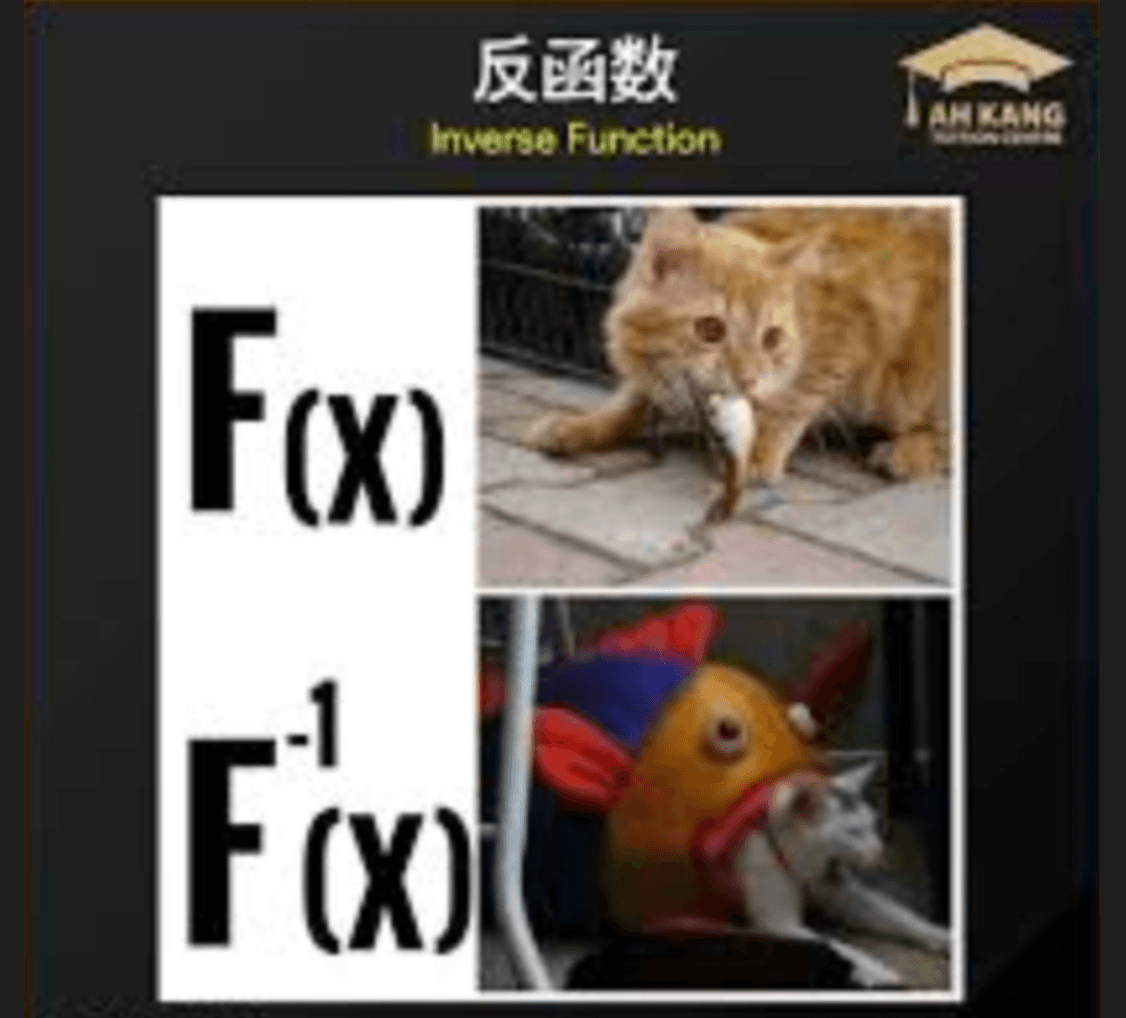 函数